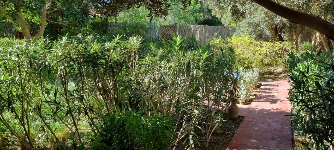 Les Trois Paons Bed and Breakfast Taroudant Buitenkant foto