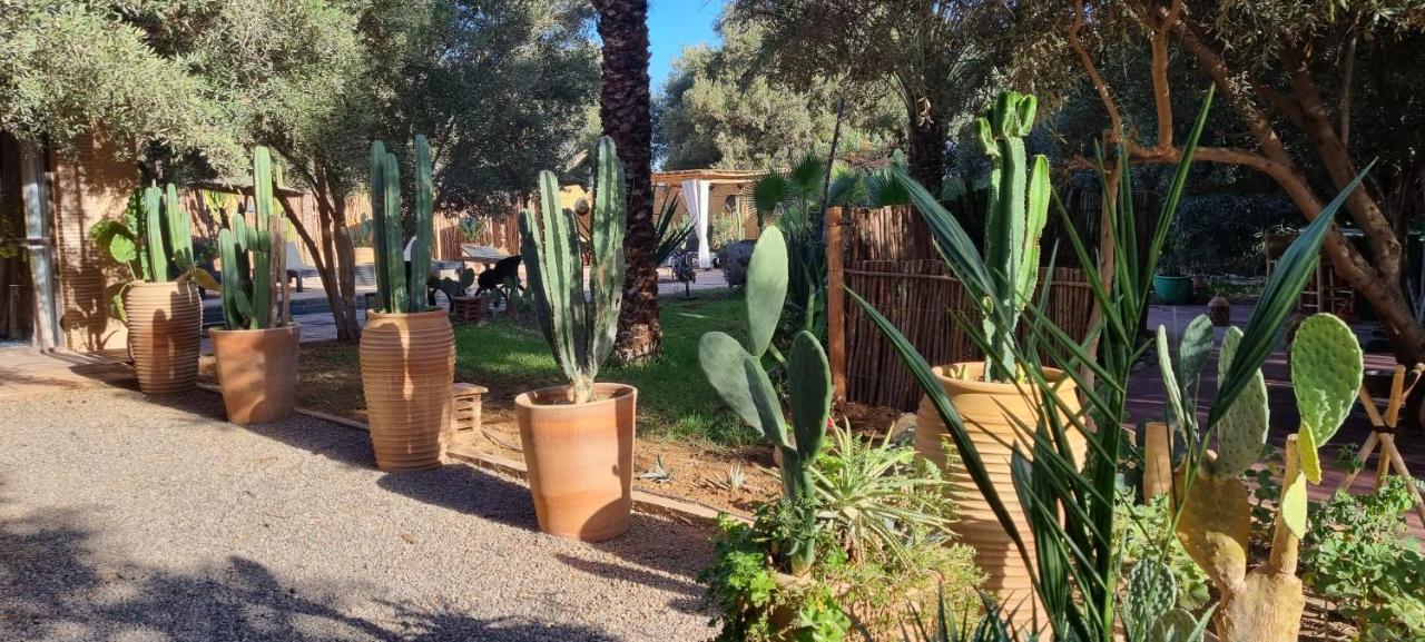 Les Trois Paons Bed and Breakfast Taroudant Buitenkant foto