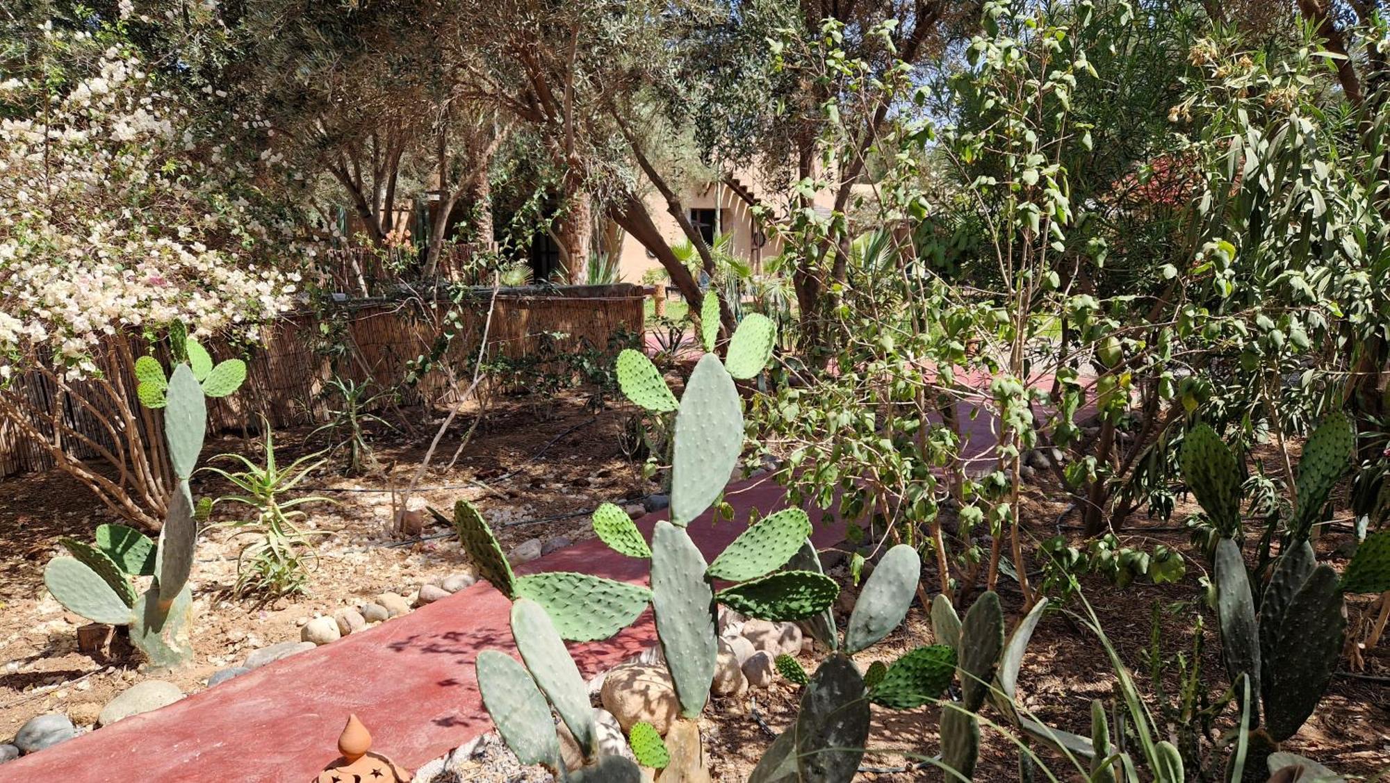 Les Trois Paons Bed and Breakfast Taroudant Buitenkant foto